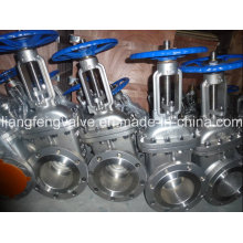 Gate Valve Flange End with Stainless Steel